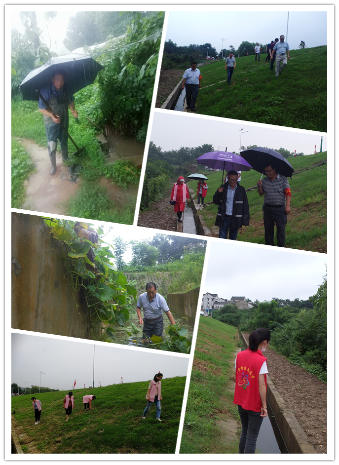  防汛抗洪丨荊劉村：同降雨拼速度，與汛情作斗爭