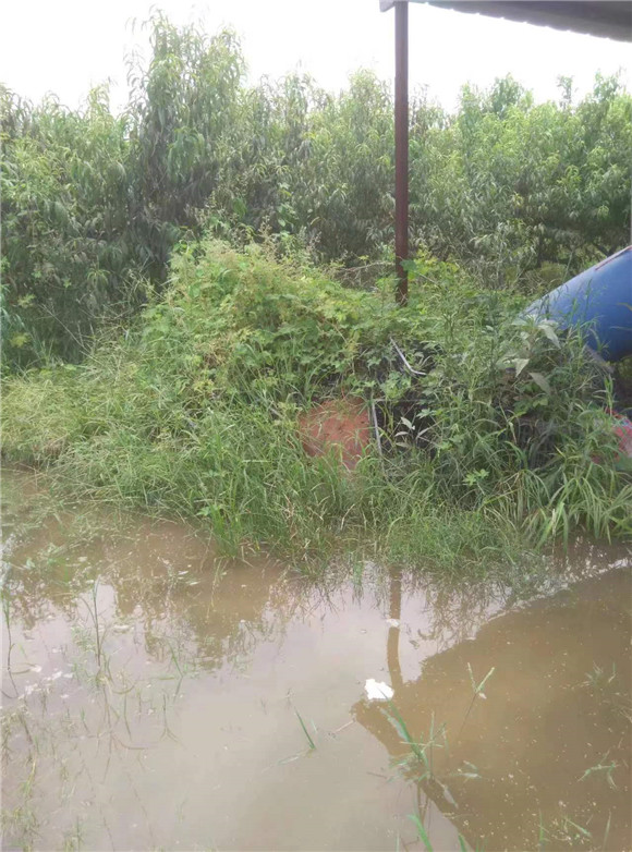 紫莊鎮(zhèn)政府不作為 農民受損數(shù)百萬