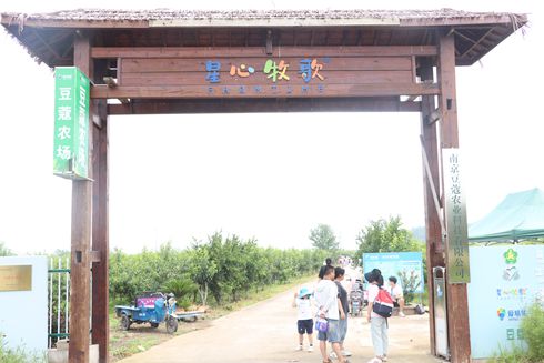 新農社區(qū)舉辦慶六一迎端午“童言童語 快樂綻放”主題融合活動