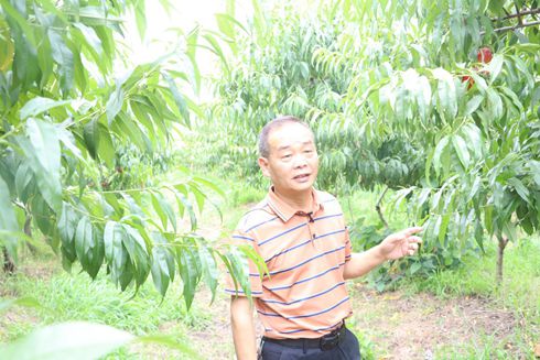 新農社區(qū)舉辦慶六一迎端午“童言童語 快樂綻放”主題融合活動