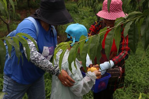 新農社區(qū)舉辦慶六一迎端午“童言童語 快樂綻放”主題融合活動
